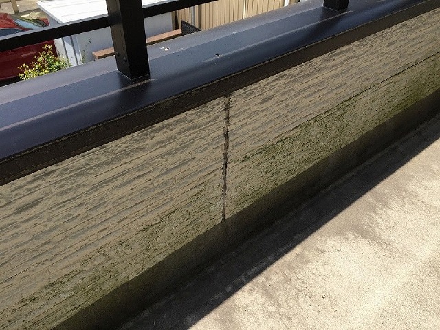 日陰部分に苔・カビ